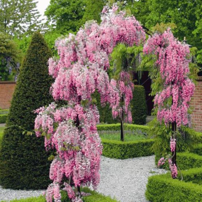 Декоративное дерево с цветами