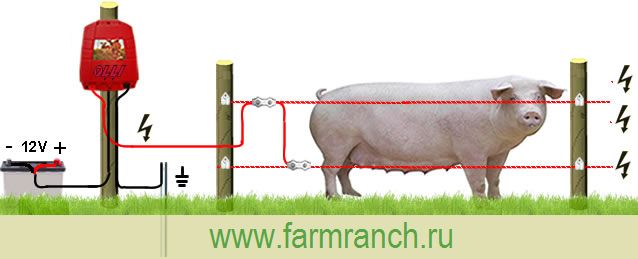 Принцип работы электропастуха для коров схема