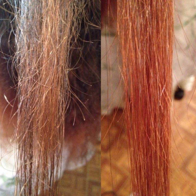 Как восстановить секущиеся волосы
